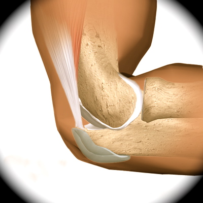 elbow_bursitis_anatomy01